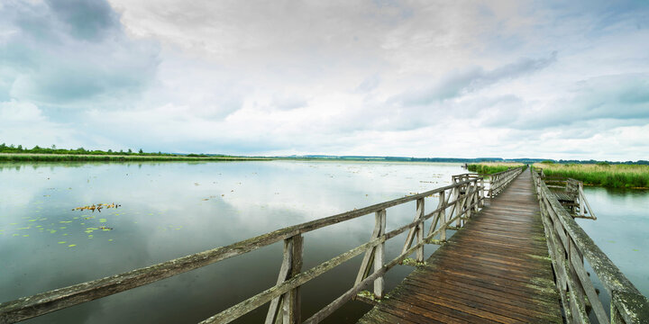 Federsee