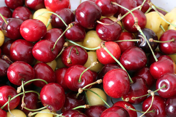 Fresh sour cherries in a wihte plate and green leaves on the board. Fresh ripe sour cherries.