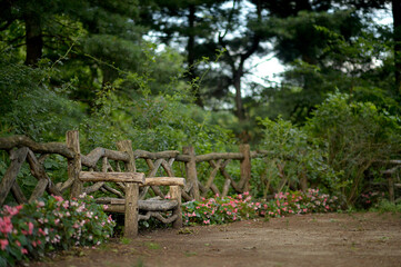 Wooden bench in beautiful park, in summer