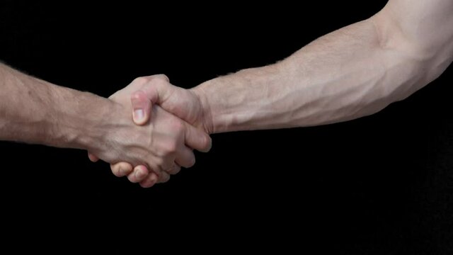 Male handshake. Gestures. Man's hands. Greetings and farewell. High quality FullHD footage