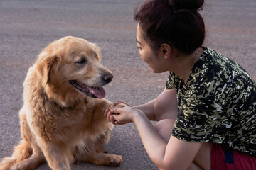 Asian woman holding the paw of a golden retriever dog, handshake, Friendship between human and dog.