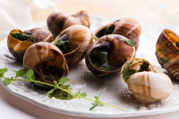 Escargot platter, delicious french delicatessen