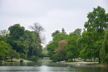 lake Park bridge trees