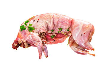 Whole Rabbit Uncooked Raw Meat Isolated on White Background. Ready to Cook Fresh Whole Rabbit.