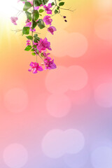 Fuchsia blue flowers, natural beauty, blurred background with bokeh