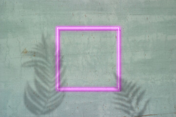 neon sign frame of concrete wall.
Copy Space and Advertising.
shadow of leaves.
