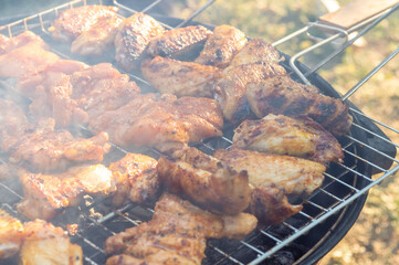 Assorted grilled chicken meats on the flaming grill