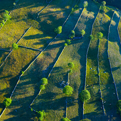 Landscape of meadows, Pasiegas Cabins and stone walls in the Portillo de la Sia. Comarca de Las Merindades in the province of Burgos. Autonomous Community of Castilla y Leon, Spain, Europe