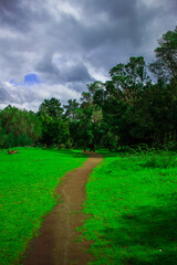 Sendero hacia el bosque
