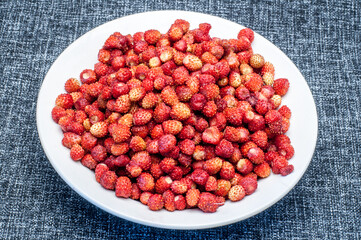 fresh strawberries - wild berry in June