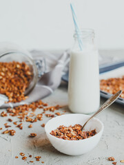 Organic homemade granola сereal with oats and walnuts. Healthy snack.