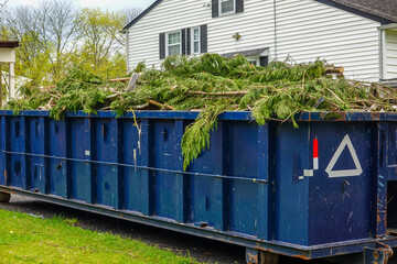 Blue dumpster filled with vegetation debris is seen in the driveway of a house being renovated