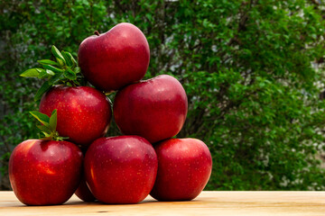 Fresh tasty bright red apples in garden, good for vegan food, advertisement, vitamins for immune system