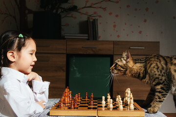 Funny family moments, cat playing chess with little cute Asian girl