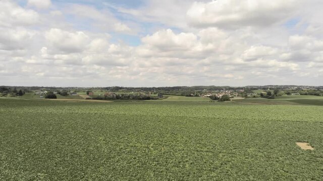 Dry Fields On A Sunny Day In Overijse, Belgium -  Agricultural Drought - low aerial shot