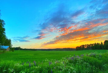 Fototapety na wymiar - Fototapeta24.pl