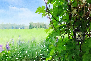 Watercolor painting of small lantern in middle of green plant leaves and view of field in summer.