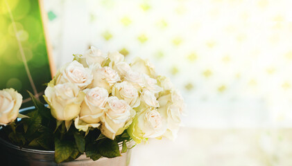 White roses in vintage bucket with a sunny background.  Banner, wedding and anniversary concept. 