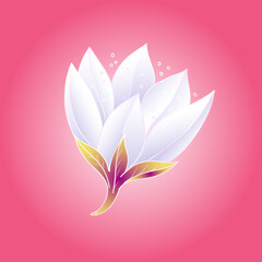 Beautiful, delicate, fresh flower bud with white petals on a deep pink background. Vector illustration.
