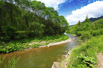 landscape with mountain river and green trees