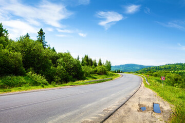 Road along mountain forest in summer day