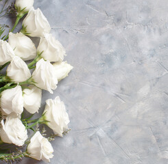 white roses on a grey background