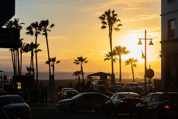 a setting sun in the horizon during golden hour shows palm tree silhouettes while lighting up the california sky in the venice beach section of los angeles