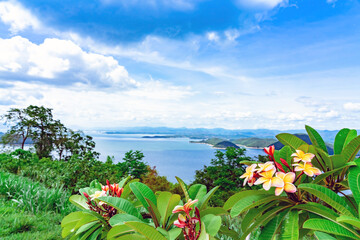 Frangipani flower or plumeria flower blooming on tree with beautiful scenery of nature with a large reservoir above the Srinagarind Dam at Rai Ya Yam view point in Kanchanaburi, Thailand.