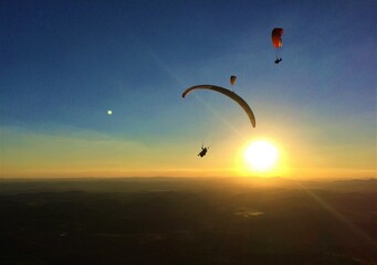 Paraglider