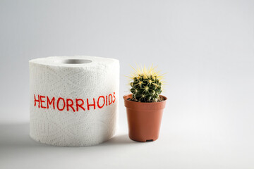 Toilet paper roll and cactus, illness concept