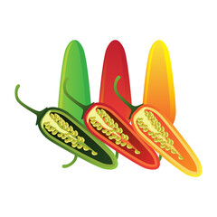 raw green, red, yellow jalapeno pepper. vector illustration	