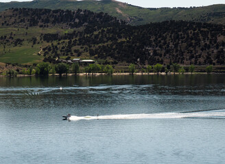 Water ski on the lake