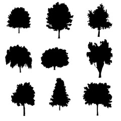 tree icon  on isolation background