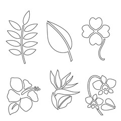 Leaf icons on white isolate background