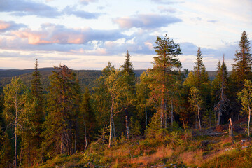 Evening landscape. Scenic sunset in hills of Finnish Lapland