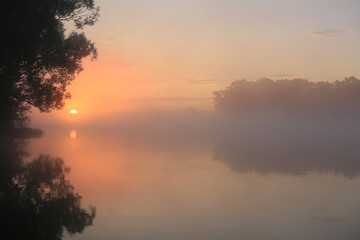 Fototapeta na wymiar Beautiful foggy sunrise. Trees by the lake and the sun rises in the water