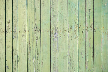 green painted color blank Board panel wood wall texture, old vintage style grunge with cracked surface background for your text, decoration or advertising template, retro art