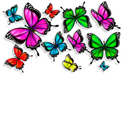butterfly675
