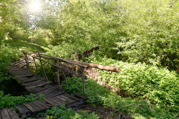 old wooden bridge in forest