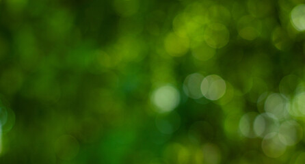 Fototapeta na wymiar abstract circular green bokeh background, green nature spring and nature light in blurred style, copy space