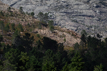  In the top of the mountains, land of the Iberian Wolf, Geres National Park, Minho, Portugal.