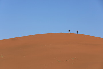 사막위의 작은 사람들