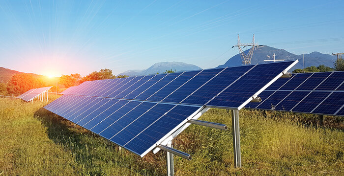 sollar panels on a field with grass in the morning