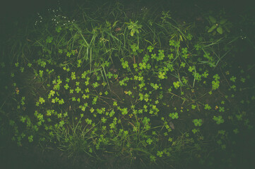 abstract green background with particles