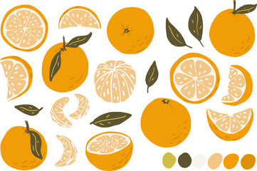 Orange, slice, peeled orange vector clipart set hand drawn childish flat style isolated on white background.