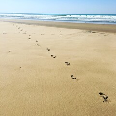 footprints on the beach