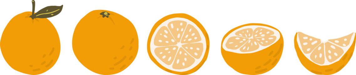 Orange, slice clipart set hand drawn childish flat style isolated on white background.