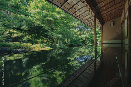 京都 瑠璃光院 春 夏 広告 素材 リフレクション 写経 反射 日本家屋 数寄屋造 日本庭園 歴史 中村外二 犬養毅 お寺 寺 八瀬 大原 瑠璃 Wall Mural Sanato 京都 瑠璃光院 春 夏 広告 素材 リフレクション 写経 反射 日本家屋 数寄屋造 日本庭園 歴史 中村外二 犬養毅 お寺 寺 八瀬 大原 瑠璃 Wall Mural Sanato
