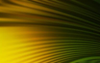 Dark Green, Yellow vector background with curved lines. A shining illustration, which consists of curved lines. New composition for your brand book.