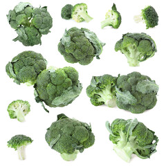 Set of fresh green broccoli on white background